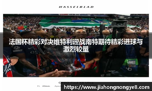 法国杯精彩对决维特利迎战南特期待精彩进球与激烈较量