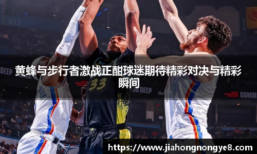 黄蜂与步行者激战正酣球迷期待精彩对决与精彩瞬间